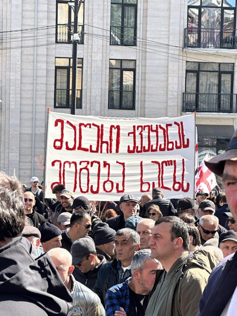 in solidarity